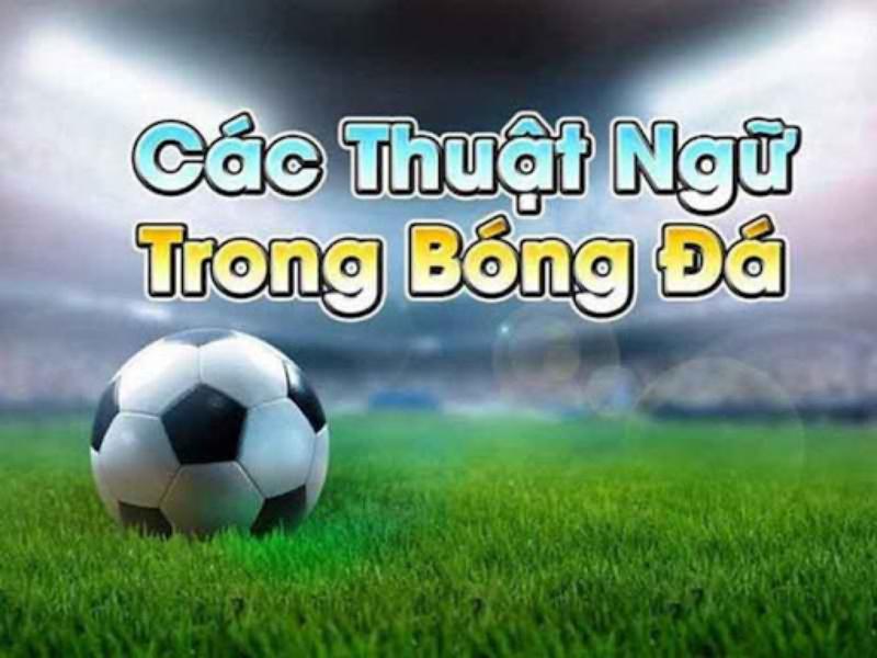 Thuật ngữ cá độ của dân chơi lâu năm